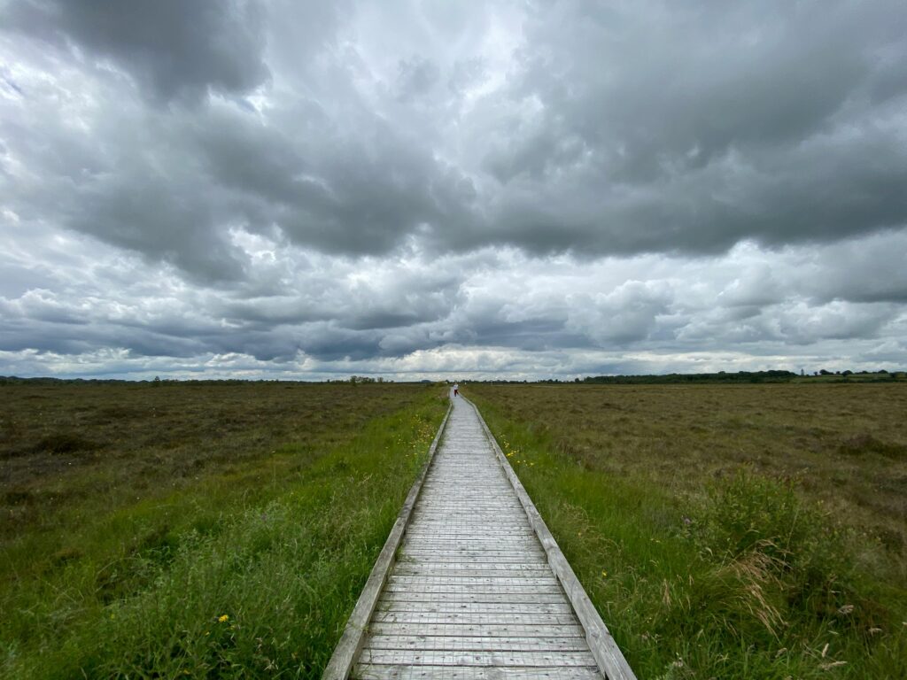 A wooden boardwalk pathway stretching through a vast field under a dramatic cloudy sky.